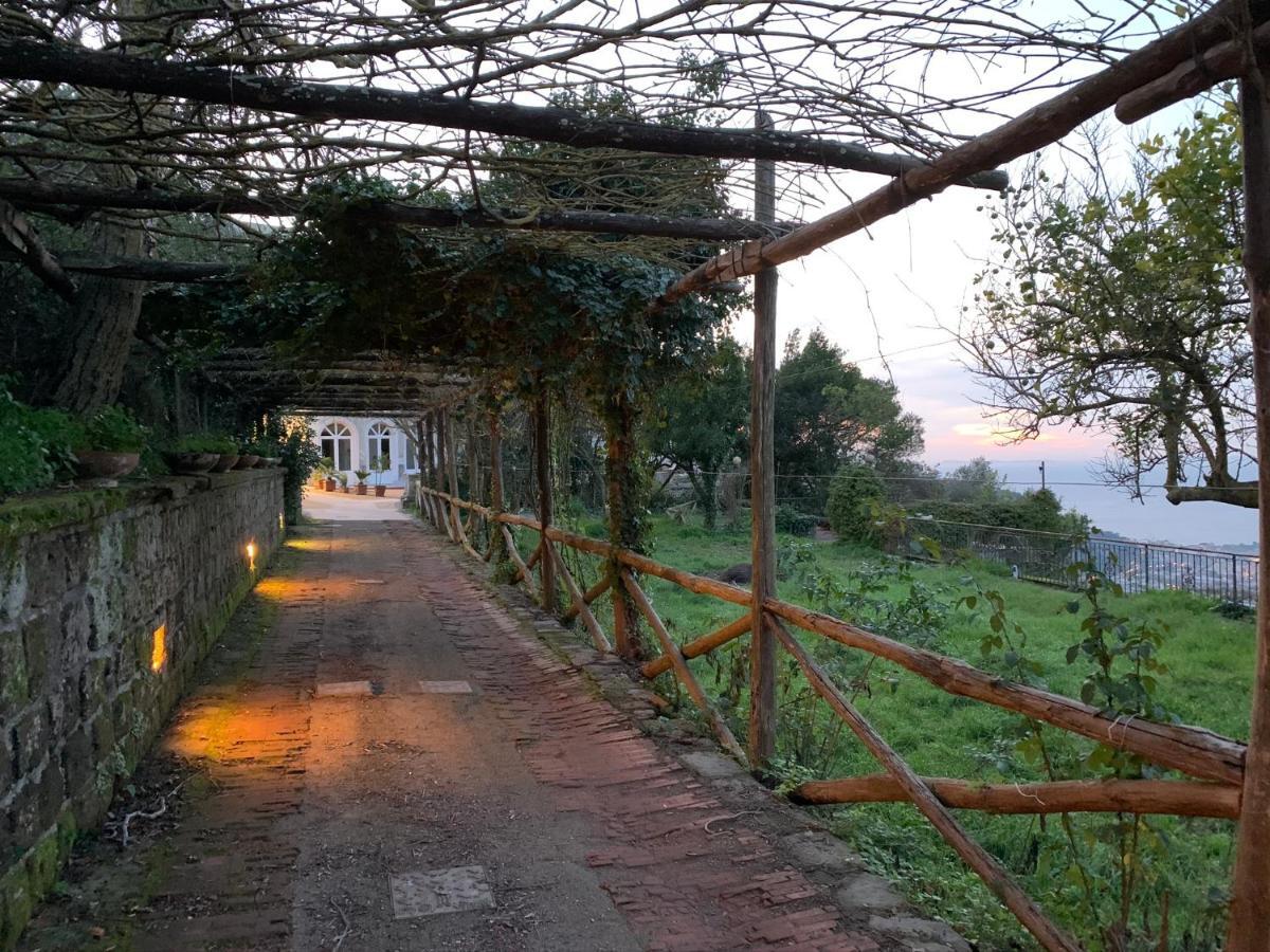 Sunrise Luxury Experience Bed & Breakfast Piano di Sorrento Exterior photo